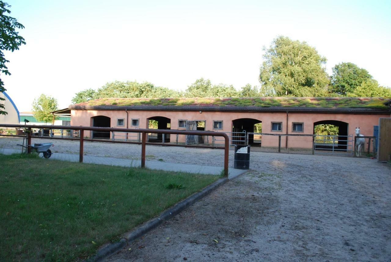 Ferienwohnung Auf Pferdehof Dreetz Exterior photo