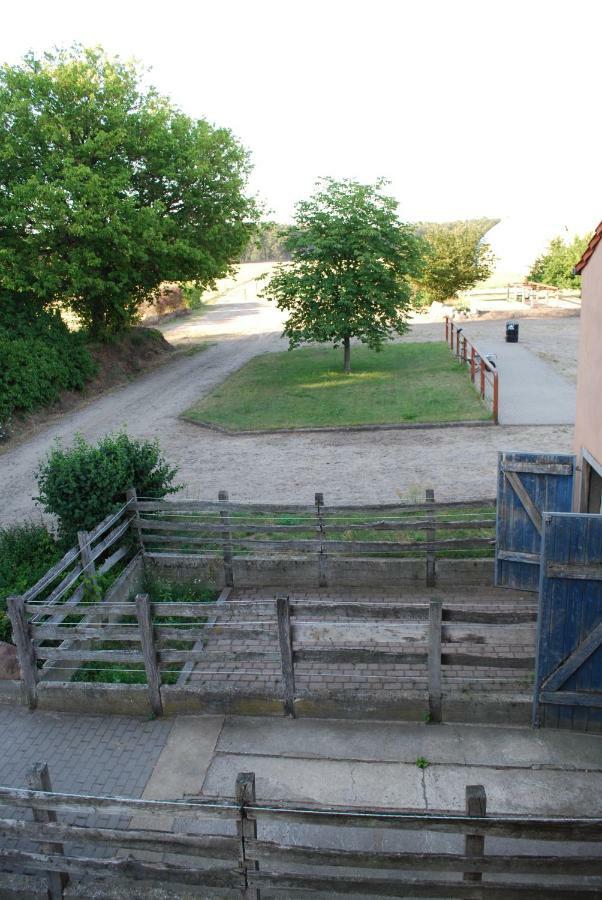 Ferienwohnung Auf Pferdehof Dreetz Exterior photo